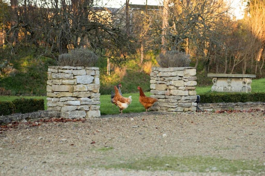 Dove House Cottages - No 1 Oxford Exteriör bild